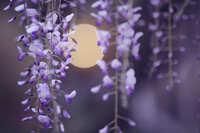 https://images.plurk.com/7MqxoOAHUgt4YMeoY6fXPF.jpg