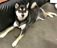 https://images.plurk.com/7MwAIN4VpHcFSesd1FMgz4.jpg