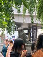 https://images.plurk.com/7MxO7Qmsd9jdnoxlvMoJ1f.jpg