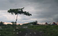 https://images.plurk.com/7aFEgwRzjc1GnpRITBEACw.jpg