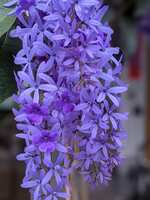 https://images.plurk.com/7aIl6CT4eN3hZReO2KyPir.jpg