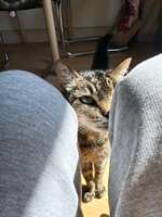 https://images.plurk.com/7aPSipaMjdLZj5pNhN8iMd.jpg
