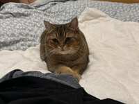https://images.plurk.com/7aUX9KPgJOcScKQUW6Rlcz.jpg