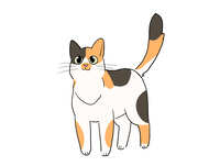 https://images.plurk.com/7aWC2rvbBZ7FiLyRDmgviZ.jpg