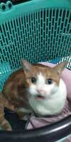 https://images.plurk.com/7afA0yvzNDDoYQyDiqcljp.jpg
