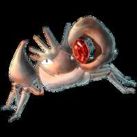 https://images.plurk.com/7aqAtqoj72kYYgwAKadhjo.png