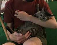 https://images.plurk.com/7at9cEshyjyxQqTI9Mv3IF.jpg
