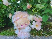 https://images.plurk.com/7auMumTd64BHQFXrFcj2Lk.jpg