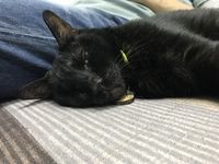 https://images.plurk.com/7auyLwTiUZV5TxdluI0TY.jpg