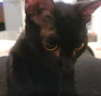 https://images.plurk.com/7av1lrl4pu0rBpGQ7lO9o0.jpg