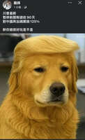 https://images.plurk.com/7b1n8uYw8N16dGojkxHSbY.jpg
