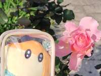 https://images.plurk.com/7b29LbHiKTVueBEeqzuEGw.jpg