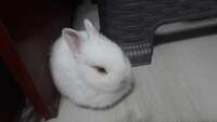 https://images.plurk.com/7bAH71MtCKmnokPQoKuC0A.jpg
