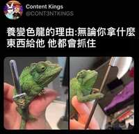 https://images.plurk.com/7bHvX75KnypdaTmCQ385zv.jpg
