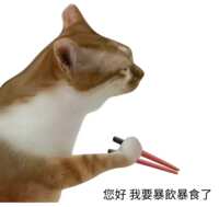 https://images.plurk.com/7bLWMB6RLV5vU3PSv4eKH9.png