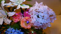 https://images.plurk.com/7bMOkQ8BIkn7kkKyW7iQap.jpg