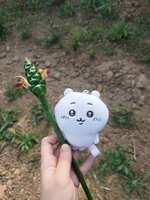 https://images.plurk.com/7bMqMvWf0hHpXOnCxKfshs.jpg