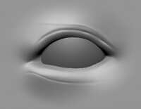https://images.plurk.com/7bRr74PWWtbjp7FCXMn9ib.jpg