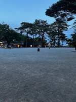 https://images.plurk.com/7bVe3X2AkZi8Q9Gs6ZTBUQ.jpg