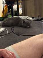 https://images.plurk.com/7bW4zuU7HiYkD1L3blkOO3.jpg