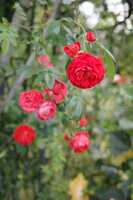 https://images.plurk.com/7bfMCnHlGlqC664iu1b8GV.jpg