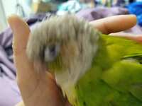 https://images.plurk.com/7biZm4ZgXa3wTxPKXO4Gcv.jpg