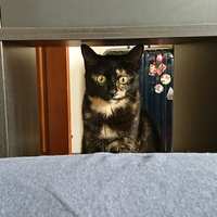 https://images.plurk.com/7bpaCJ83cCwYtKSdtFoEZv.jpg