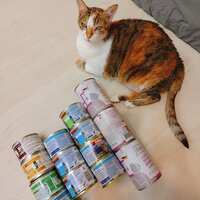 https://images.plurk.com/7brqSwFyEunp5G92KMaxPT.jpg