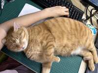 https://images.plurk.com/7byWaIbpOvjWRWsmS6htxc.jpg