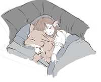 https://images.plurk.com/7c3y8FkhgbiFBPQ8cE55ZQ.jpg