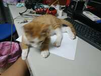 https://images.plurk.com/7cGkEusadtG4tNvKoP8vPA.jpg