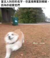 https://images.plurk.com/7cHuBfdppRRIeL7fe5LlmA.jpg