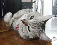 https://images.plurk.com/7cQ7LK5NrDKYaqfFVsBNwR.jpg