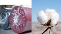 https://images.plurk.com/7cQj4rnmbIOI8e63fgQOnY.jpg