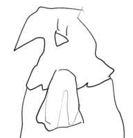 https://images.plurk.com/7camwEHRY5lfDGmnCTKGr9.png