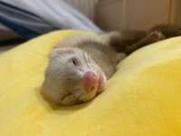 https://images.plurk.com/7cekF7yEc3eSkH5pP6l15b.jpg