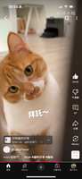 https://images.plurk.com/7ckTlh5erJGGV2M84eSiU3.png