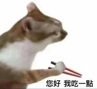 https://images.plurk.com/7cxQqEiWnqwLI0KfVvdH3.jpg