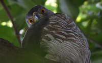 https://images.plurk.com/7d9TNIIzWiqnfpDgCjCYCY.jpg