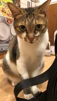 https://images.plurk.com/7dBt4IVPc39xUPCktiBz75.jpg