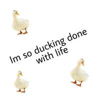 https://images.plurk.com/7dEdq2MeW9P42nls4Gbtk4.png