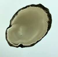 https://images.plurk.com/7dMmU3xjAUJLwGWunSNzEE.jpg