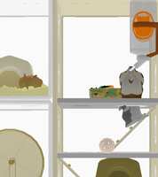 https://images.plurk.com/7dNHxnOQ370TCZWugmqT6d.png