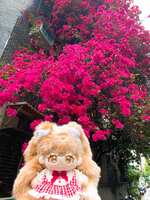 https://images.plurk.com/7dNouayQ46jx77z0NZD1wa.jpg