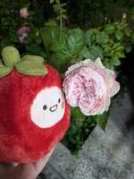 https://images.plurk.com/7dRcHEex33Xk3T5Kxn9Ol3.jpg