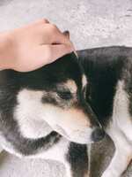 https://images.plurk.com/7dT1FaVSfkvi9LlinYVfRz.jpg
