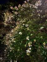 https://images.plurk.com/7dTemkJyJJ9jOhM8M83PeN.jpg