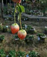 https://images.plurk.com/7dUit5UZspCq7RxevWE0Zg.jpg