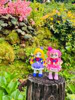 https://images.plurk.com/7dp6QJzLsfif27wbJfcQgQ.jpg