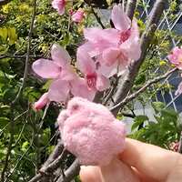https://images.plurk.com/7dpg9HnCylfDMUjOUCtZ67.jpg
